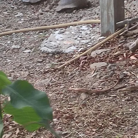 Valtaki Apartamento Selinitsa