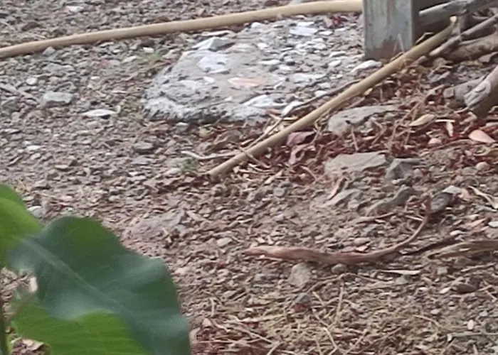 Valtaki Lejlighed Selinitsa